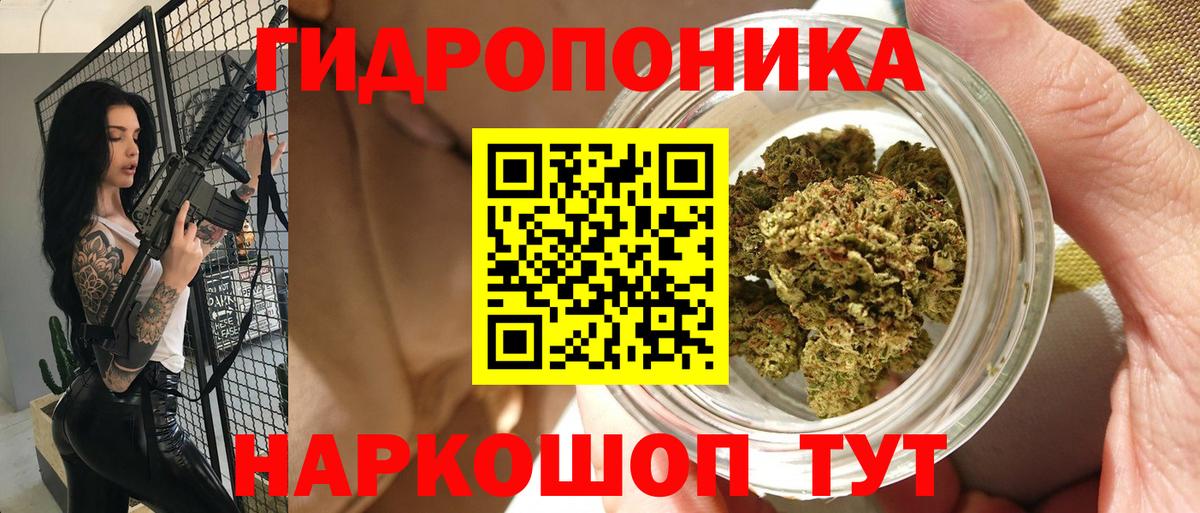 Шишки марихуана OG Kush  Вход с VPN  Марихуана планчик  Сертолово 